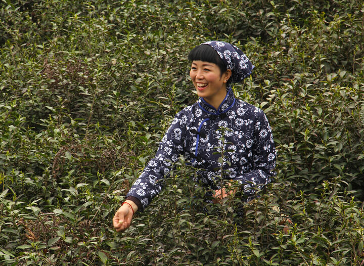 侦探之眼